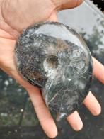 Mooie ammoniet geslepen, Ophalen of Verzenden, Mineraal