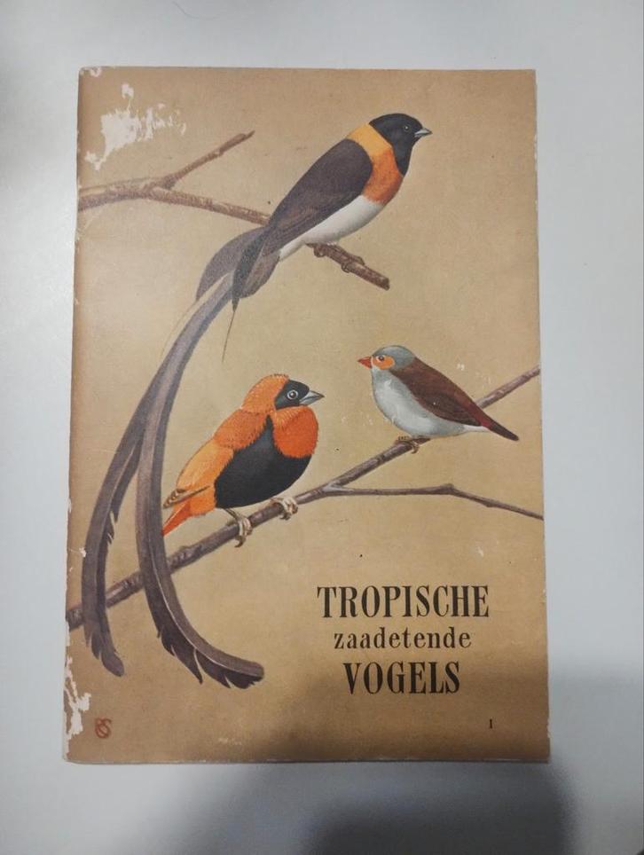 Tropische Zaadetende Vogels - Vintage Vogelboek, Boeken, Natuur, Gelezen, Vogels, Ophalen of Verzenden