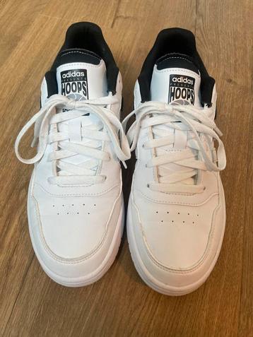 Adidas Hoops | Maat 42 | ZGAN beschikbaar voor biedingen