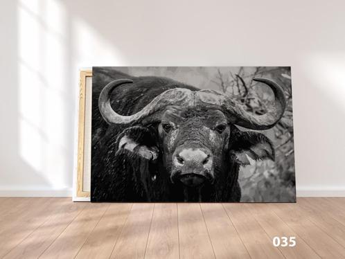 Canvas Buffel, Antiek en Kunst, Kunst | Schilderijen | Abstract, Ophalen of Verzenden