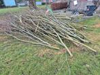 Wilgen branhout -, Tuin en Terras, Haardhout, Minder dan 3 m³, Ophalen of Verzenden, Overige houtsoorten, Takken