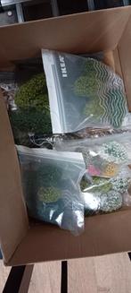 Doos met boompjes, Ophalen of Verzenden, Gelijkstroom