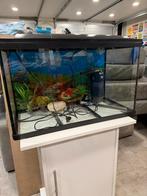 Superfish 100L aquarium  (zonder onderkast), Ophalen, Zo goed als nieuw, Leeg aquarium