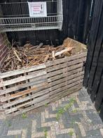 Takjes,blokjes , aanmaakhout, Minder dan 3 m³, Ophalen, Overige houtsoorten, Blokken