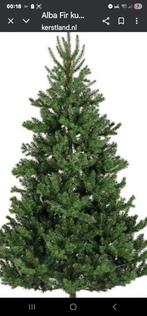 Prachtige grote kerstboom, Diversen, Kerst, Ophalen of Verzenden, Zo goed als nieuw