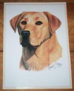2 kaarten robert j may labrador / golden retriever in 1 koop, Ophalen, Gebruikt, Hond of Kat, Beeldje of Figuurtje