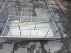 Gratis, Ophalen, 90 cm of meer, Konijn, Ren