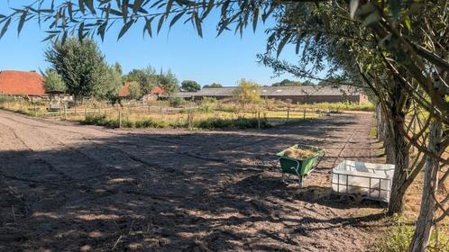 Paddock paradise pony ( Esbeek ), Dieren en Toebehoren, Stalling en Weidegang
