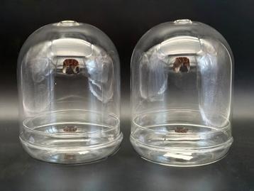2 Glazen Domes - Mini Terrarium / Decoratie beschikbaar voor biedingen