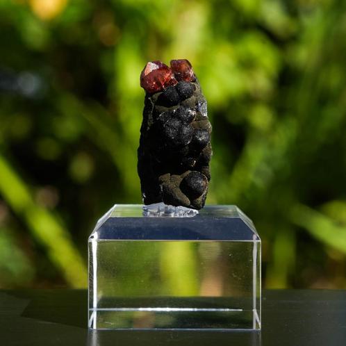 rhodochrosiet uit mexico #7, Verzamelen, Mineralen en Fossielen, Mineraal, Ophalen of Verzenden