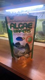 Hikari algae wafers 250g