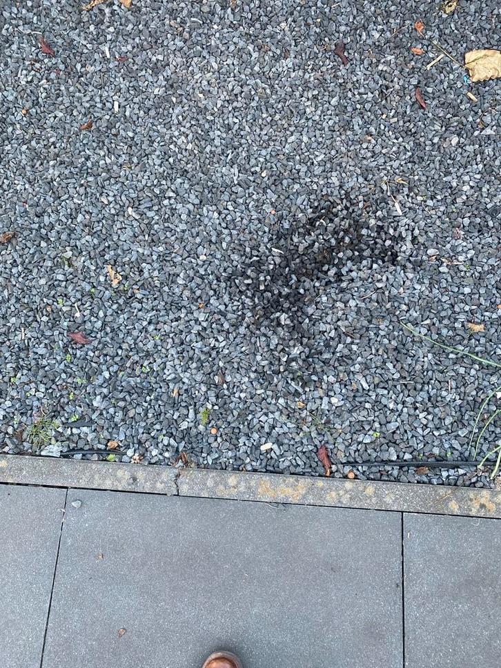 Grijze Split - Tuin & Oprit gratis, Tuin en Terras, Grind, Keien en Split, Gebruikt, Split, Grijs, Kalksteen, Ophalen