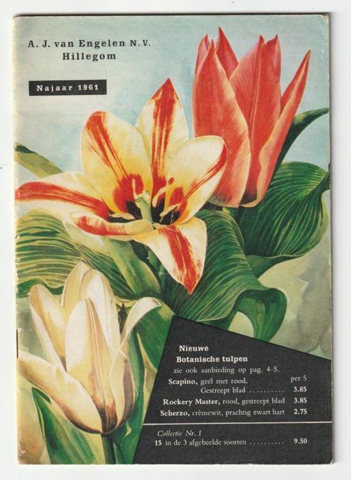 A.J. van Engelen N.V. Hillegom catalogus najaar 1961 bloemen, Verzamelen, Merken en Reclamevoorwerpen, Gebruikt, Overige typen