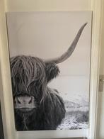 Canvas doek buffel, Huis en Inrichting, Ophalen, Zo goed als nieuw, Schilderij, 75 cm of meer