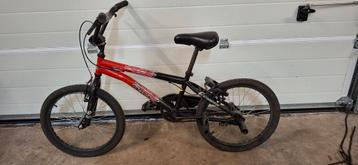 Raccoon mtb beschikbaar voor biedingen