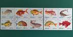 Oman : 1972 Vissen 2 blokken gestempeld, Postzegels en Munten, Postzegels | Thematische zegels, Verzenden, Dier of Natuur