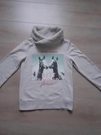 Paarden trui meisje 146 / 152, Ophalen of Verzenden, Gebruikt, Meisje, Trui of Vest