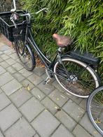 Cortina U5 Damesfiets - Transportfiets, Fietsen en Brommers, Overige merken, Ophalen of Verzenden, 53 tot 56 cm, Gebruikt