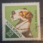 Roemenie Hond Michel 2473 Gestempeld, Ophalen of Verzenden, Overige landen, Gestempeld
