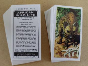 African Wildlife complete set 50 tea cards black back 1973 beschikbaar voor biedingen