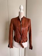 Prachtig lederen jack gekocht bij pauw mt 36, Kleding | Dames, Ophalen of Verzenden, Zo goed als nieuw, Maat 36 (S)