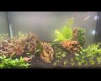 Jewel RIO 125, Dieren en Toebehoren, Ophalen of Verzenden, Zo goed als nieuw, Leeg aquarium