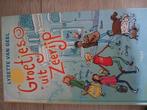 Lysette van Geel - Groetjes uit Zeerijp, Ophalen of Verzenden, Zo goed als nieuw, Lysette van Geel