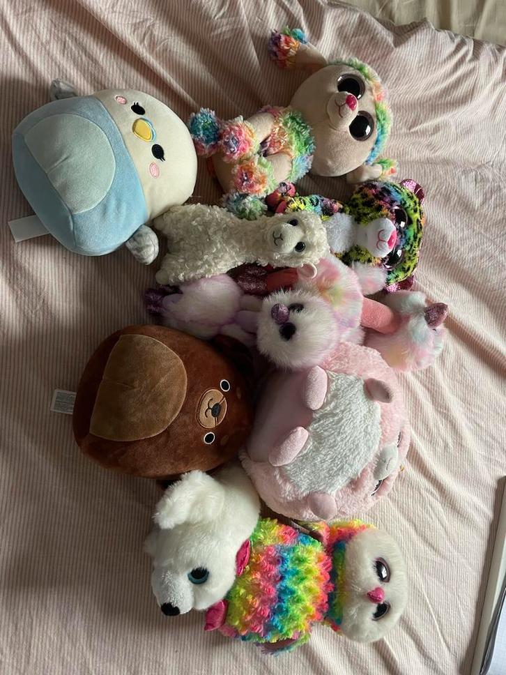 Beanie boos en squishmallows verzameling (kijk beschrijving), Kinderen en Baby's, Speelgoed | Knuffels en Pluche, Gebruikt, Overige typen