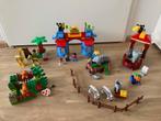 LEGO Duplo Ville Grote Stadsdierentuin (5635), Kinderen en Baby's, Speelgoed | Duplo en Lego, Ophalen, Zo goed als nieuw, Complete set