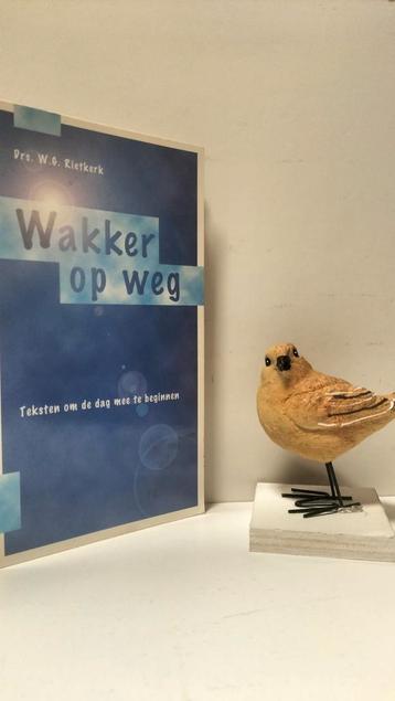 Rietkerk, Drs. W.G.; Wakker op weg  beschikbaar voor biedingen