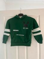 Minecraft trui / hoody maat 122 (pillig), Ophalen of Verzenden, Gebruikt, Jongen of Meisje, Trui of Vest