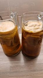 Kombucha Scoby Zwam - Biologisch, Ophalen