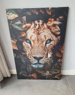 Schilderij Lion 60 x 90 cm, Antiek en Kunst, Ophalen