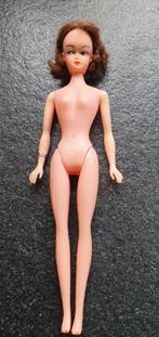 Vintage Petra barbie Plasti pop, Verzamelen, Poppen, Ophalen of Verzenden, Gebruikt, Pop