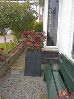 Eyecatcher:Zwarte Granieten Hoge Plantenbak 50x50x80cm, Tuin en Terras, Bloempotten, Ophalen of Verzenden