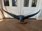 Bleu Marlin vissenstaart, Verzamelen, Dierenverzamelingen, Ophalen, Zo goed als nieuw, Vogel, Opgezet dier