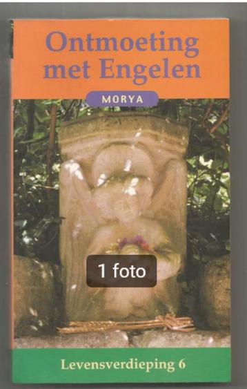 Ontmoetingen met Engelen - Geert Crevits      beschikbaar voor biedingen
