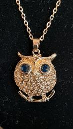 Uilen hanger aan ketting goudkleurig nieuw., Overige materialen, Nieuw, Ophalen of Verzenden, Goud
