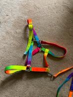 Halster paard maat full waldhausen, Dieren en Toebehoren, Ophalen of Verzenden, Zo goed als nieuw, Overige soorten