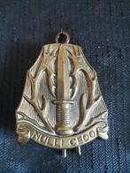 KL oud embleem Stoottroepen, Verzamelen, Verzenden, Landmacht, Nederland, Embleem of Badge