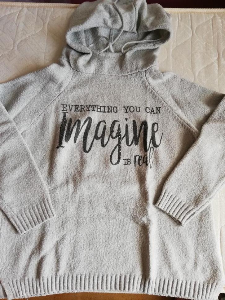 Trui grijs met tekst …Imagine… Jean Pascale maat M, Kleding | Dames, Truien en Vesten, Zo goed als nieuw, Maat 38/40 (M), Grijs