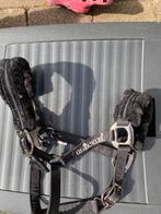 Zwart halster met bond, Dieren en Toebehoren, Ophalen of Verzenden, Nieuw, Overige soorten