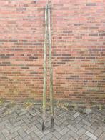 Fruitboom palen, palen , afrastering, Meerdere dieren, Schaap