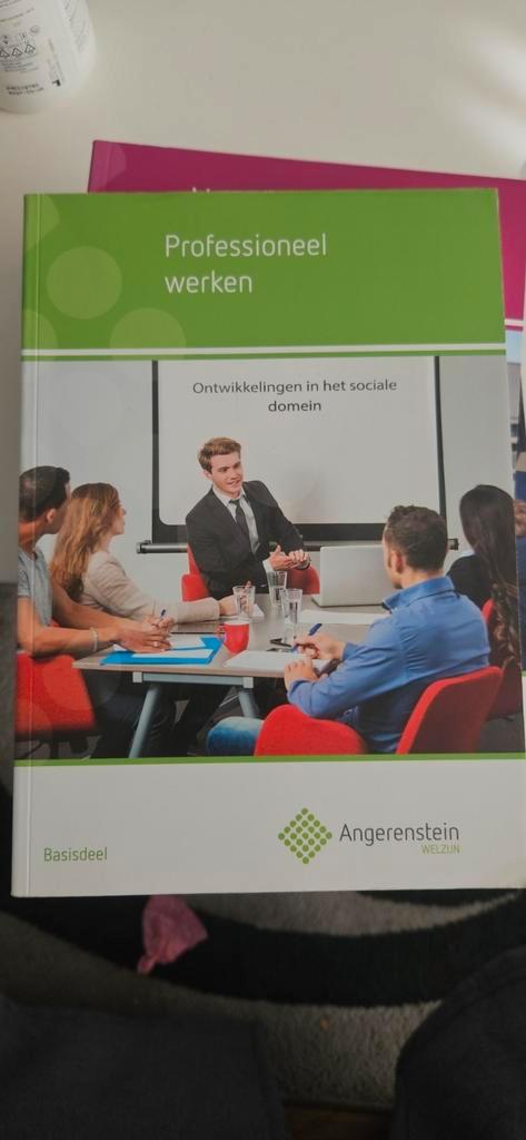 Professioneel werken Basisdeel Angerenstein, Boeken, Schoolboeken, Zo goed als nieuw, Geschiedenis, Overige niveaus, Ophalen of Verzenden