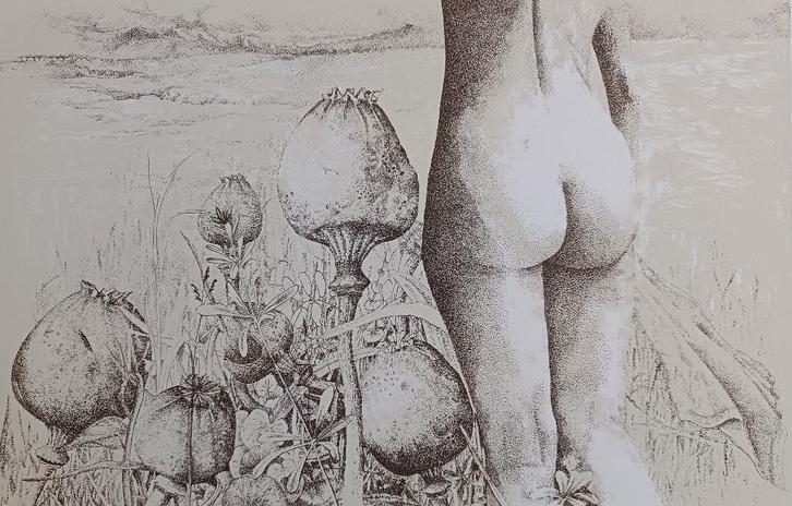 Clary Mastenbroek – tussen de slaapbollen -gesigneerde litho, Antiek en Kunst, Kunst | Litho's en Zeefdrukken, Ophalen of Verzenden