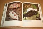 Boek: Shells and Shell Collecting, Verzamelen, Mineralen en Fossielen, Ophalen of Verzenden, Schelp(en)
