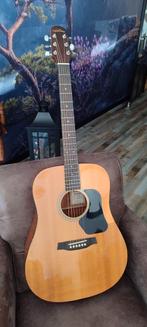 Akoestisch gitaar Walden D350, Ophalen, Gebruikt, Klassieke of Spaanse gitaar