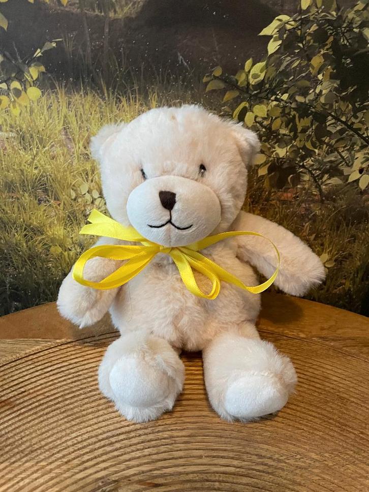 Warmies beer Warmte knuffel, Kinderen en Baby's, Speelgoed | Knuffels en Pluche, Nieuw, Beer, Ophalen of Verzenden