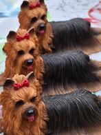 honden, Ophalen of Verzenden, Nieuw, Dier