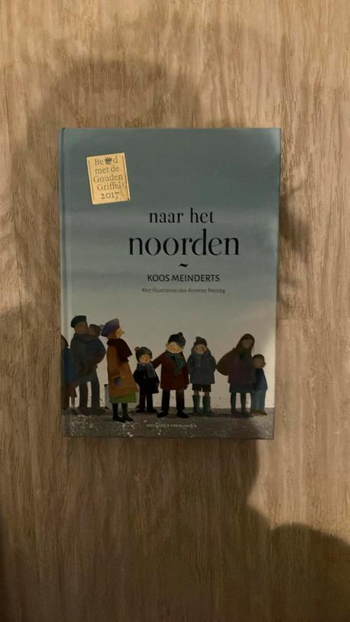 Koos Meinderts - Naar het noorden, Boeken, Kinderboeken | Jeugd | 10 tot 12 jaar, Zo goed als nieuw, Ophalen of Verzenden